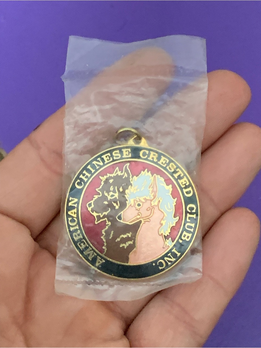 Chinese Crested Dog necklace pendant American Chinese Crested club inc